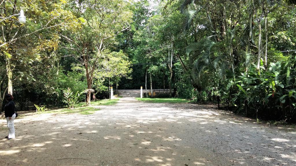 Cabañas Kin Balam Palenque Hotel Bagian luar foto