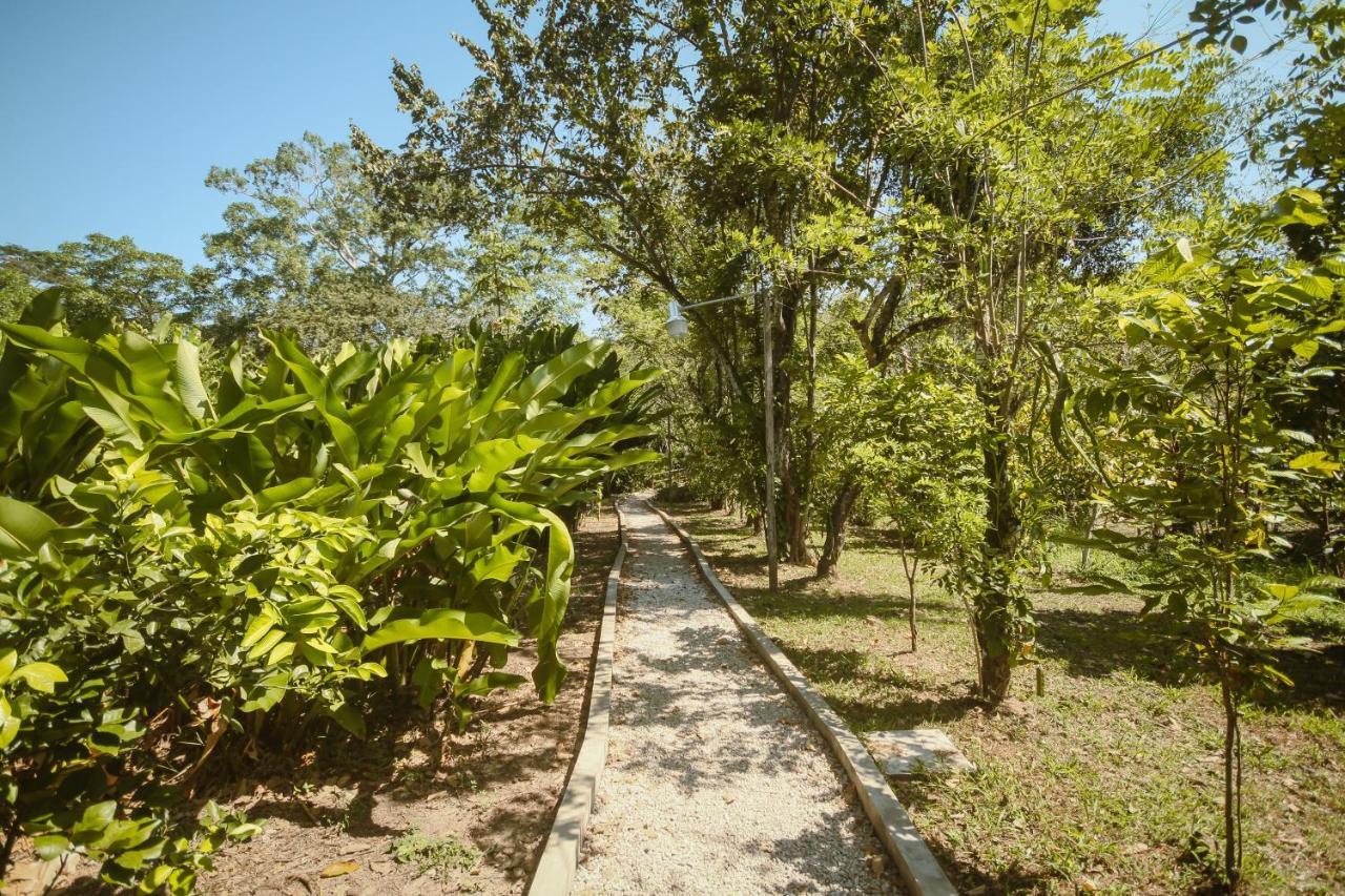 Cabañas Kin Balam Palenque Hotel Bagian luar foto